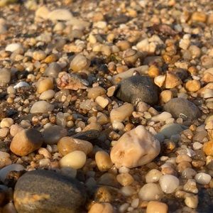 Meet your Posher, Kylie